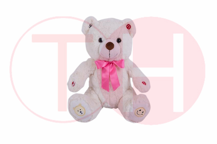 啟智，需要玩具做載體